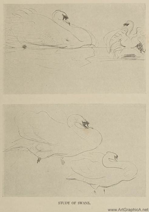 study of swans, john sargent