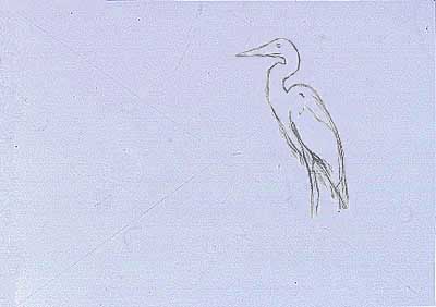 drawing, heron