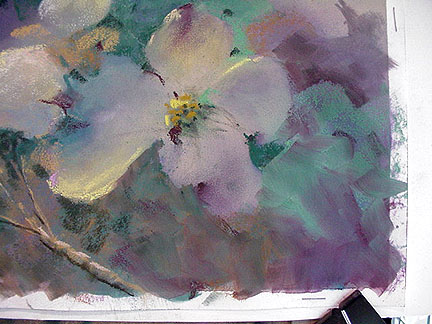 flower, pastel colors