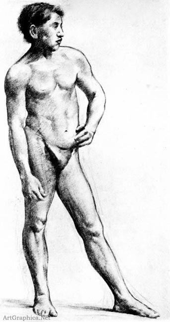 male nude in charcoal, drawing for art students, illustrators handbook