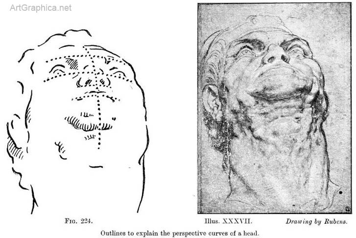 perspective of the human head