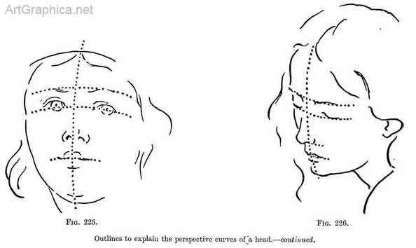 head drawn in perspective