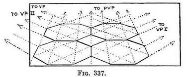 octagonal pavement, perspective art books