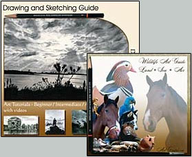 art video guide, wildlife art guide