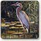 blue heron, wildlife, acrylic