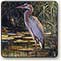 acrylic painting, blue heron