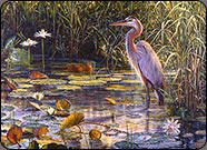 blue heron, wildlife art