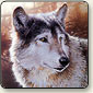 acrylic painting demonstration, wolf