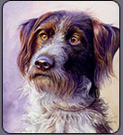 dog portrait, free watercolor lessons