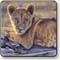 lion cub, pastel