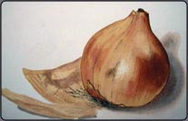 how to paint an onion