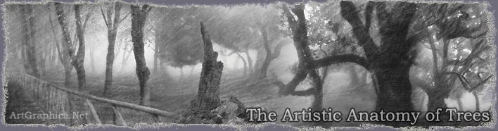 the artistic anatomy of trees, rex vicat cole, free online art books