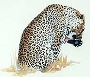 leopard wildlife watercolour tutorial watercolour wildlife demo, free art lesson