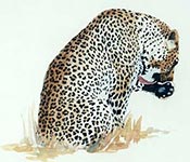 watercolour wildlife demo, free art lesson