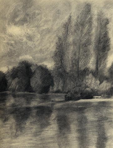 vine charcoal drawing sketch