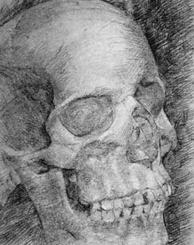 charcoal skull anatomy, innovative and imaginative ways to draw people, portraits