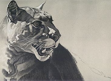 http://www.artgraphica.net/images/charcoal-wildlife-demo/charcoal-demonstration.jpg