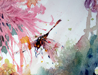 dragonfly watercolor art