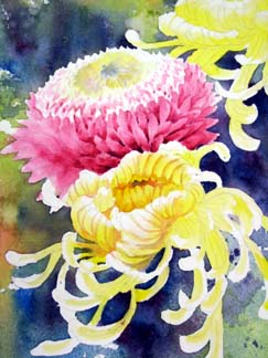 painting flower petals, watercolor flower lesson
