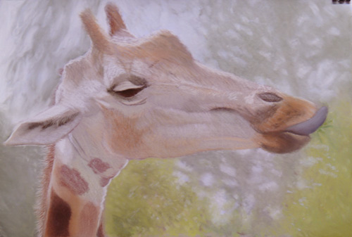 giraffe, pastel painting