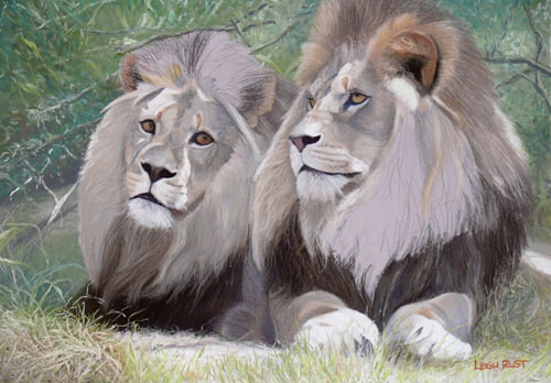 lions, pastel art