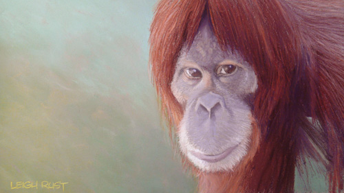 orangutan pastel art