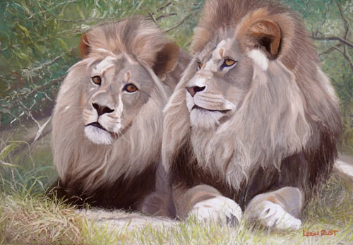 lion painting, wildlife painting tips