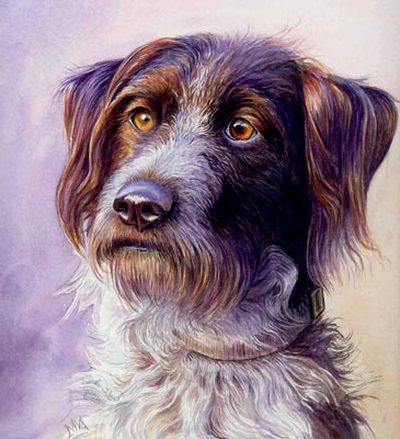 watercolour dog paintings