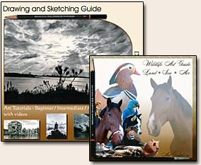 drawing and sketching, art video guide, wildlife art guide