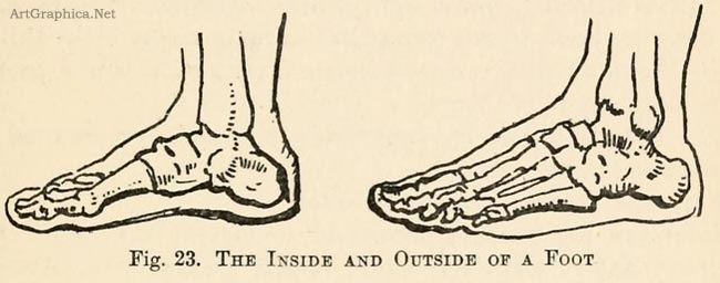 feet drawing, beginner art guide