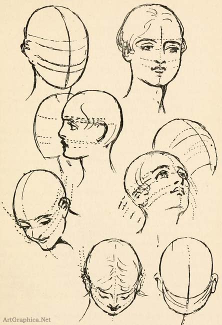 guide to drawing heads