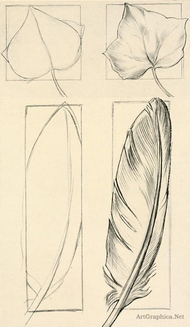 feather, ivy, leaf, drawing objects, beginner art lessons