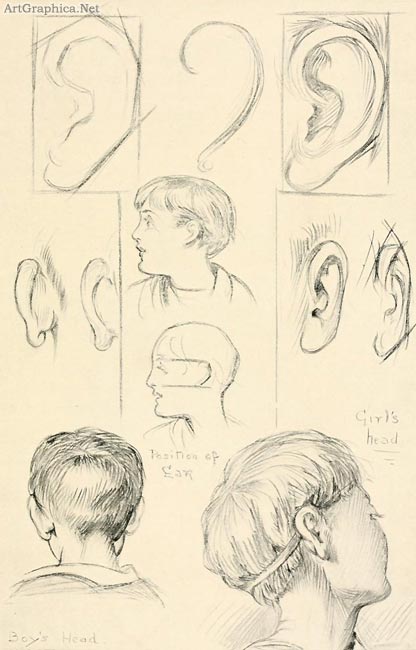 drawing ears, beginner guide to art