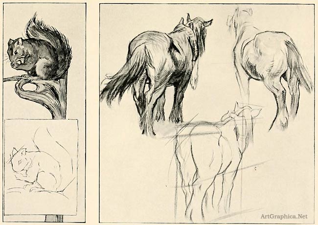 squirrel and horse, beginner guide to drawing. Fig. 41. SQUIRREL AND HORSES