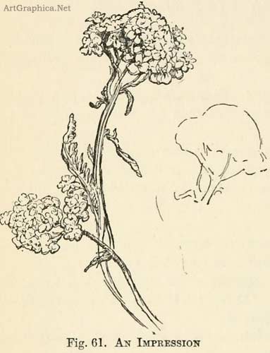 drawing flowers, eginner art paintings of flowers for beginners. drawing flowers, eginner art