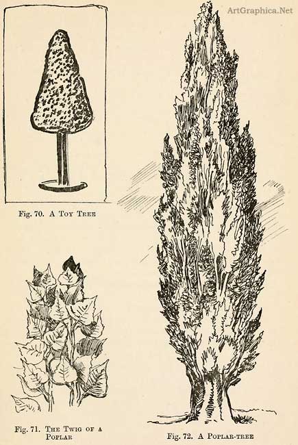 sketching trees, beginner guide to drawing