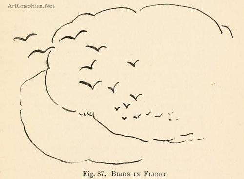 drawing birds in flight, free art guide