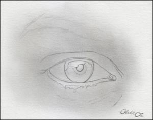 eye drawing lesson