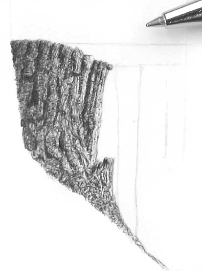 tree stump, how to draw trees