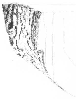 tree stump, drawing trees