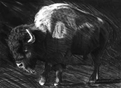 free art demo, charcoal and chalk, pastel art