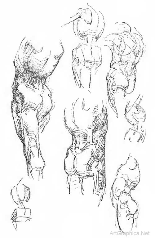 anatomy art book, free books online