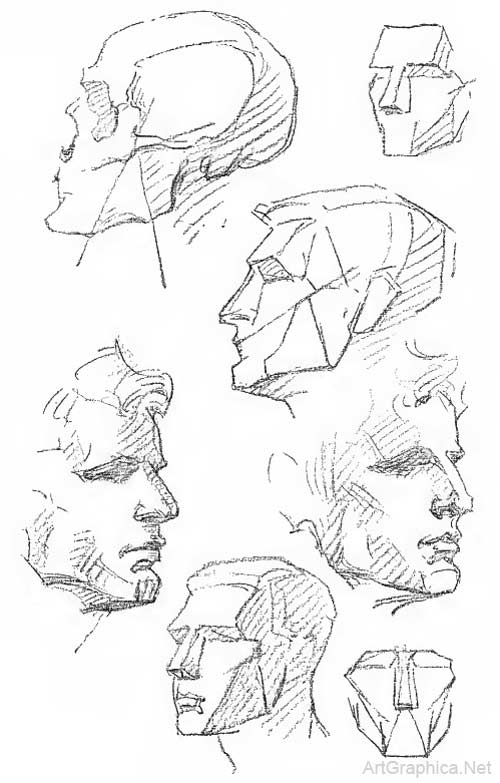 planes of the head, drawing planes of the head, bridgman