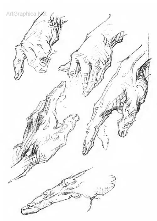 drawing hand, hand studies