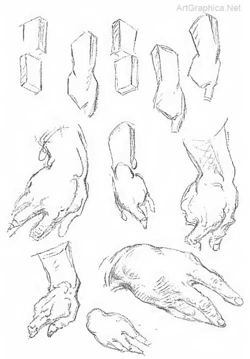 wrist and hand construction, wrist anatomy