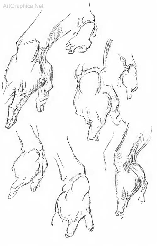 hand studies, anatomy of hands for artists