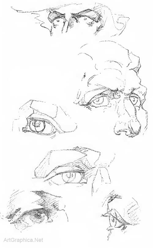 eyes and anatomy, drawing eyes, eye anatomy for artists