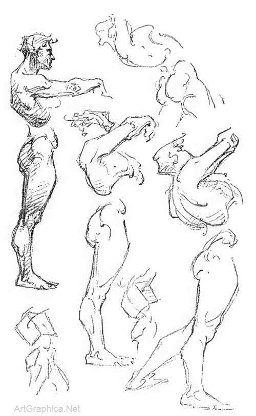 anatomy and construction, george bridgman, drawing the human body