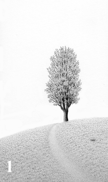 tree drawing black and white. fantasy drawing, tree art,