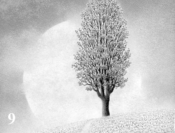 tree drawings pencil. with most of my drawings,